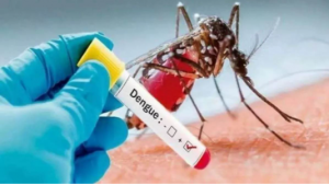 Ghaziabad Dengue Cases